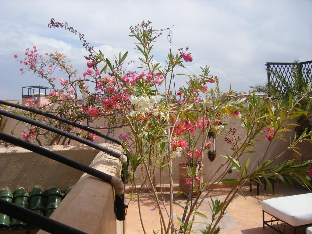 ไรแอด ไอรีน Hotel มาร์ราเกช ภายนอก รูปภาพ